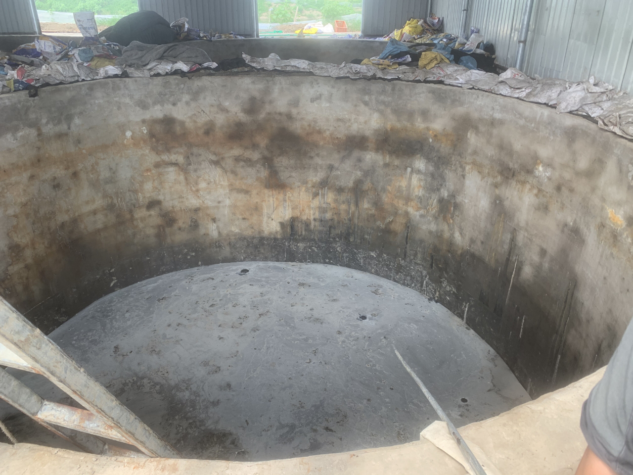 瑶安1号.png 瑶安1号.png